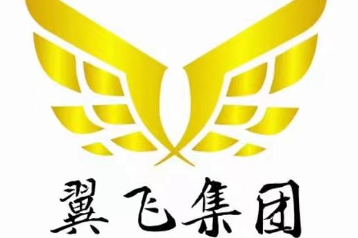 山东翼飞电子商务集团信息咨询服务 赋能企业腾飞的智慧引擎